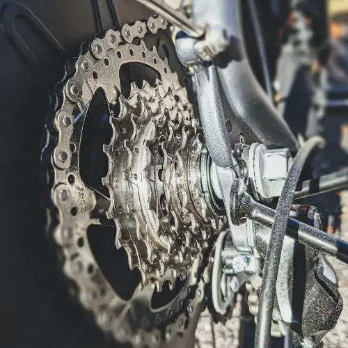 Bicycle Cassette vs Freewheel: What’s the Difference?